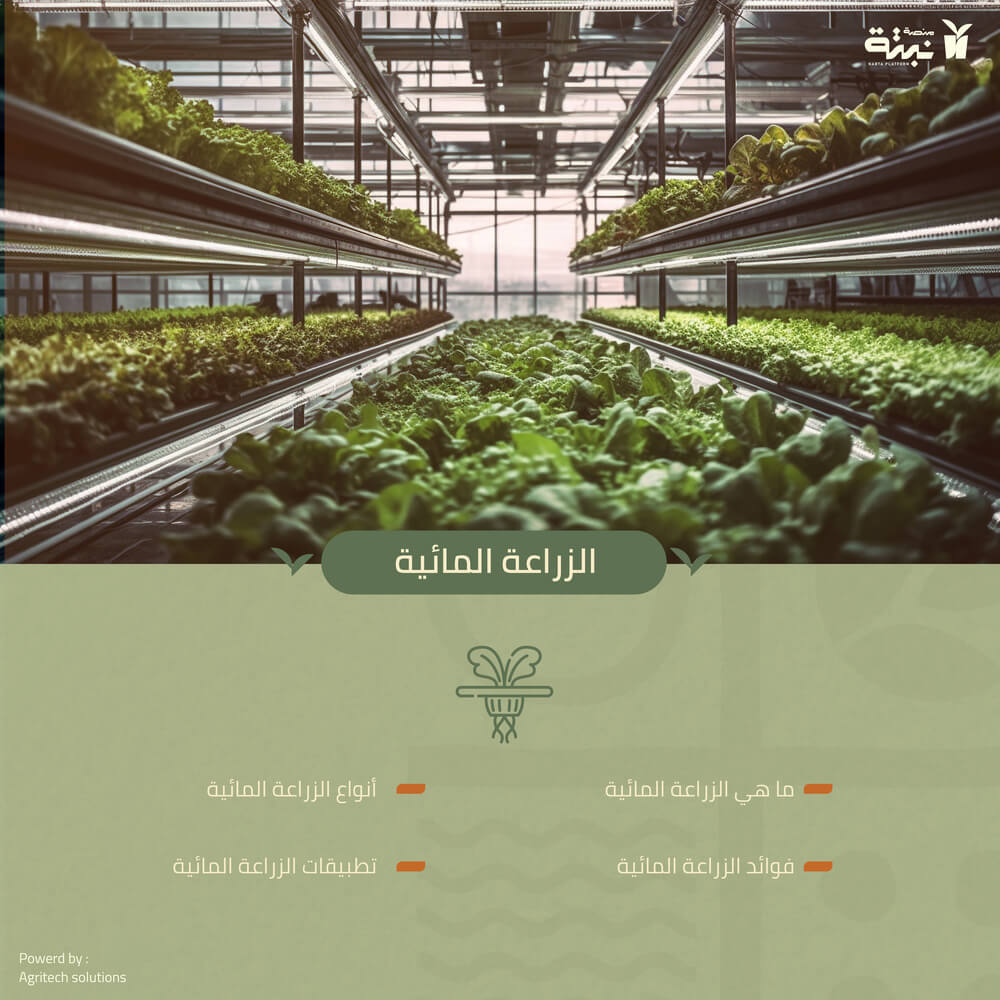 article الزراعة المائية cover