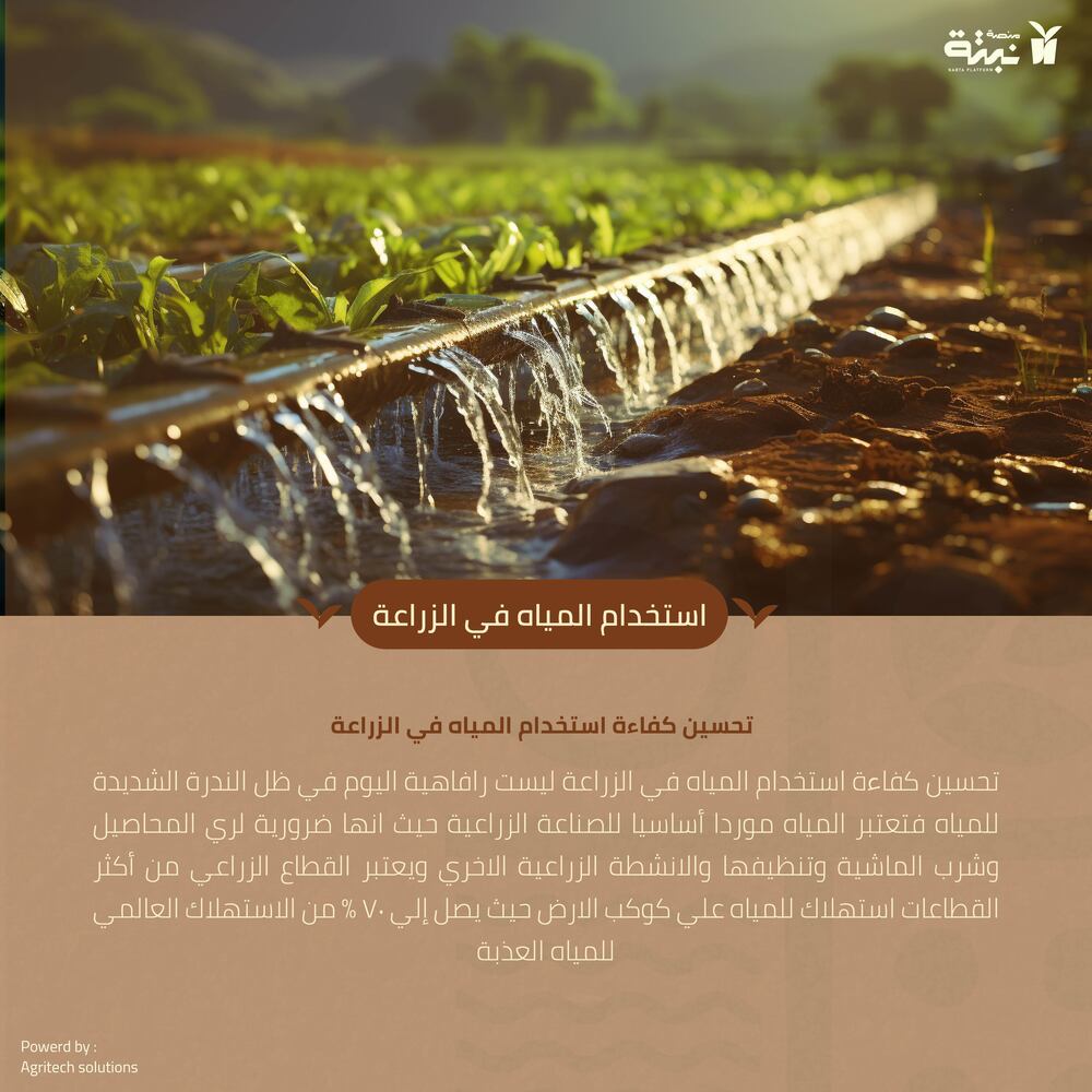 article تحسين كفاءة استخدام المياه في الزراعة cover