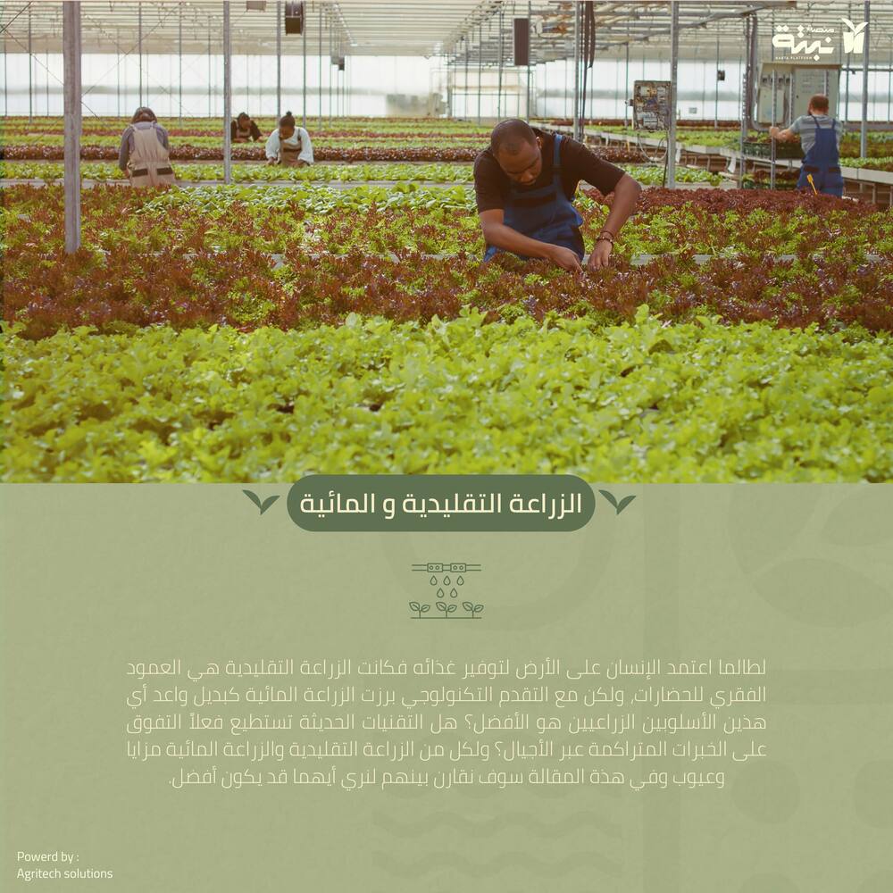 article الزراعة التقليدية والزراعة المائية cover