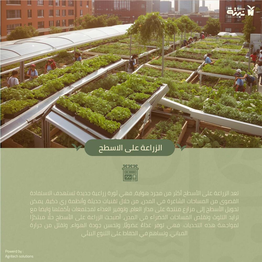 article الزراعة على الاسطح cover