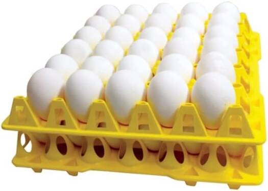 River Plastic Egg Tray – 30-Egg Holder (Yellow, 30×30 cm, 25 PCS) Image