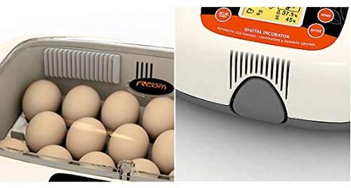 Rcom Automatic Egg Incubator for Hatching Eggs with Temperature Control & Humidity Sensor – Made in Korea