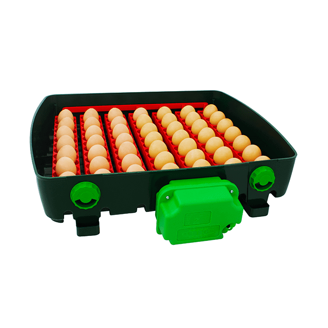 River ET 49 Digital Automatic Incubator (Made in Italy)