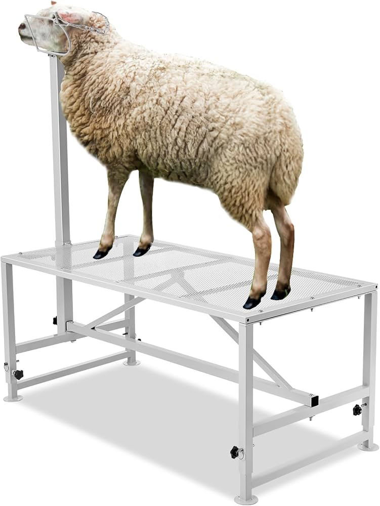 River Livestock Cage Stand – Made in Italy Image