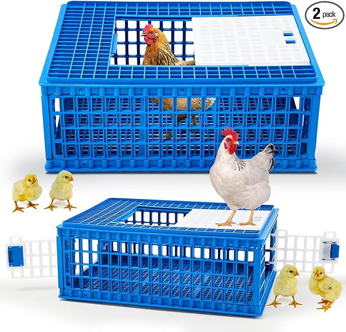 NOVITAL Chicken Transport Cage – Blue (Made in Italy)