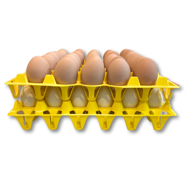 NOVITAL Egg Storage Tray Yellow – Made in Italy