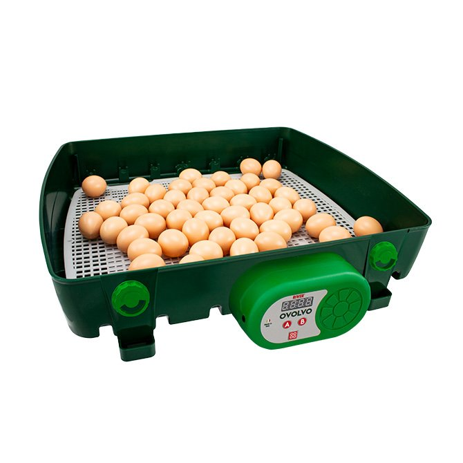 River Egg Collector Cage – Green (Made in Italy)
