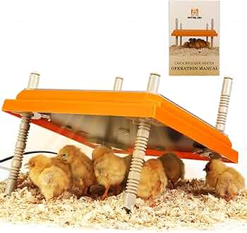 NOVITAL Poultry Brooder Heating Plate – Safe & Efficient Heat Source for Chicks (Made in Italy)