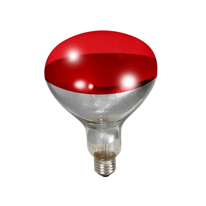 NOVITAL Brooder Lamp Red – Made in Italy