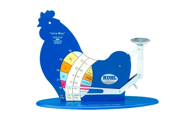 NOVITAL Steel Egg Grading Scale – Made in Italy
