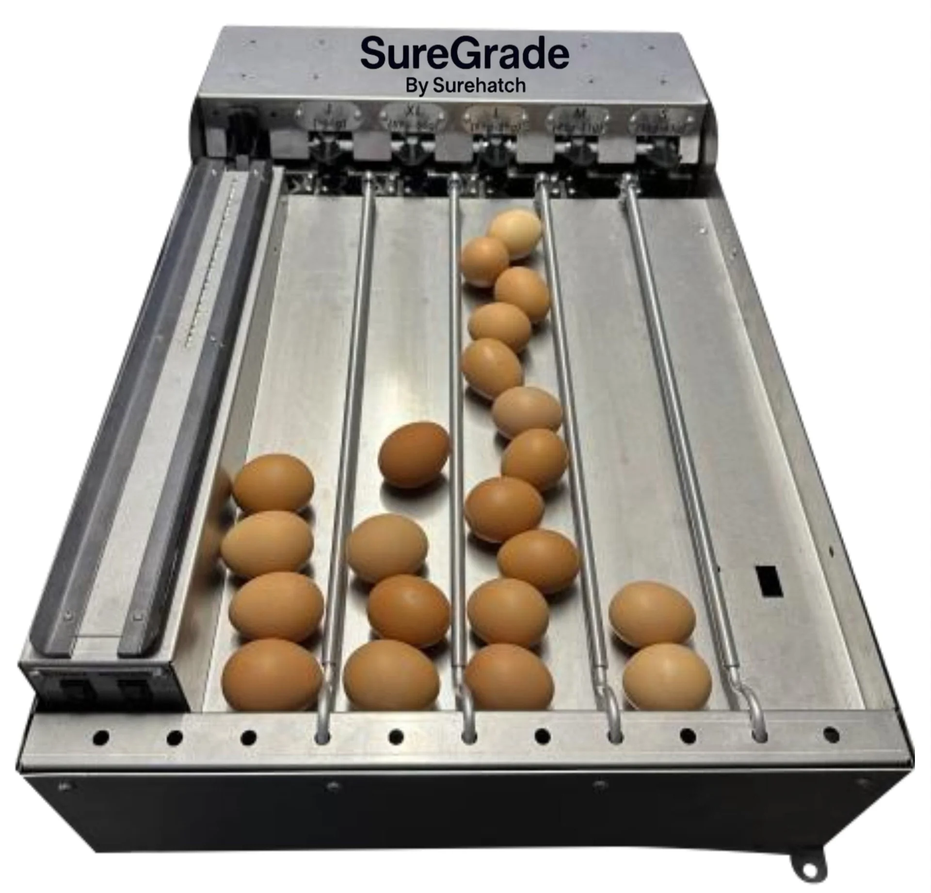NOVITAL Poultry Egg Grader Metal Italy