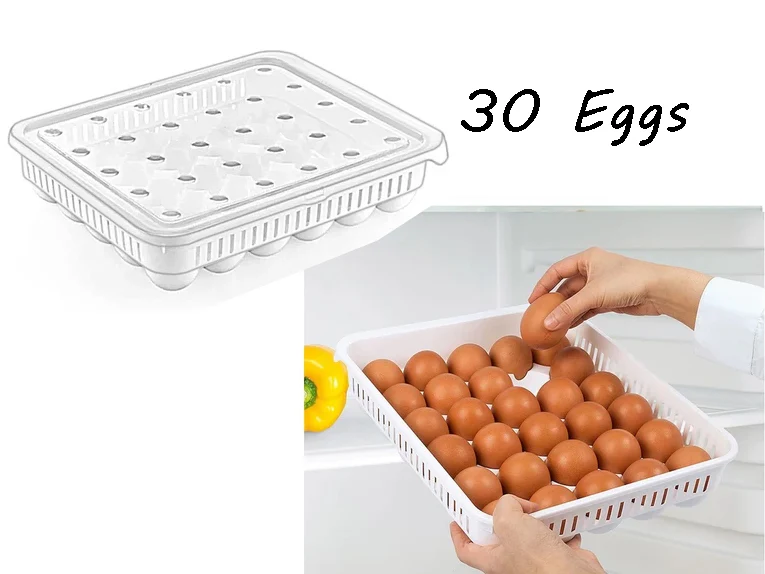 NOVITAL Egg Storage Box 30 Eggs