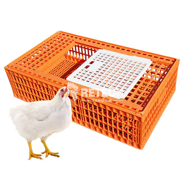 NOVITAL Chick Transport Cage Set (6-Pack) — Made in Italy