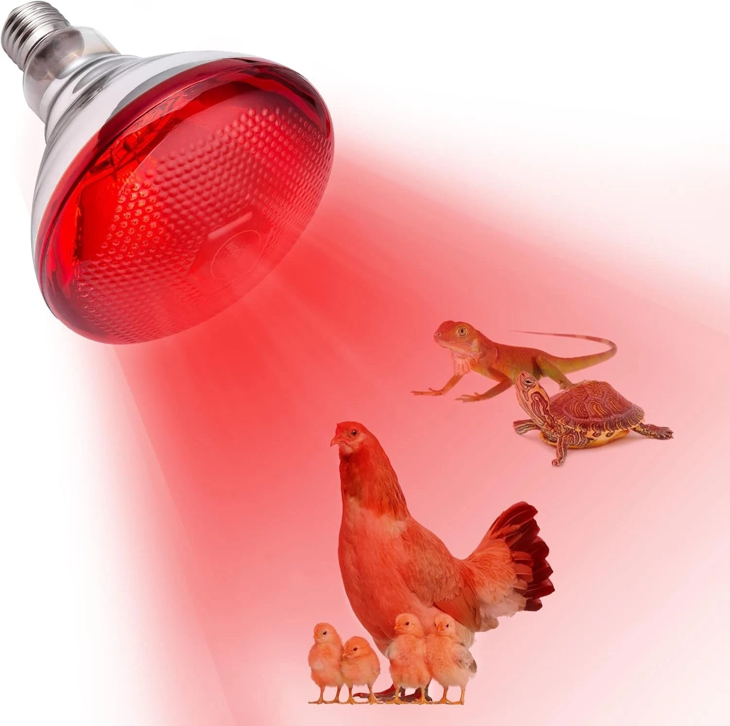 NOVITAL Poultry Heat Lamp Heater Italy