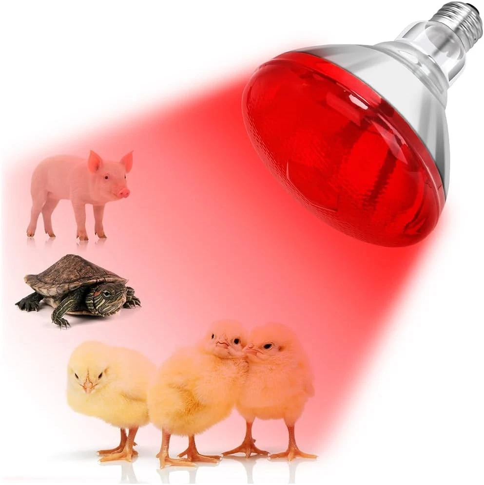 NOVITAL Poultry Heat Bulb Red Italy