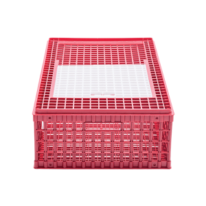 NOVITAL Chick Transport Cage Set Italy