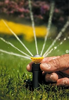 rapp RainBird Style Irrigation Sprinkler Image