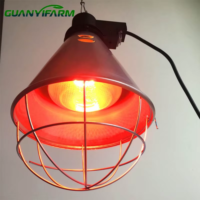 NOVITAL Brooder Red Heater Lamp 1000W With Stand
