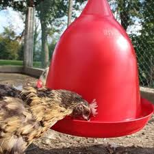 River Chicken Gaun Feeder Red – Made in Italy
