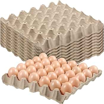 River Egg Carton Tray (Pack of 30) – Made in Italy