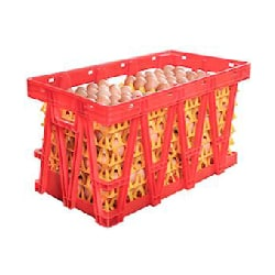 Gaunsa Egg Transport Basket – Spain