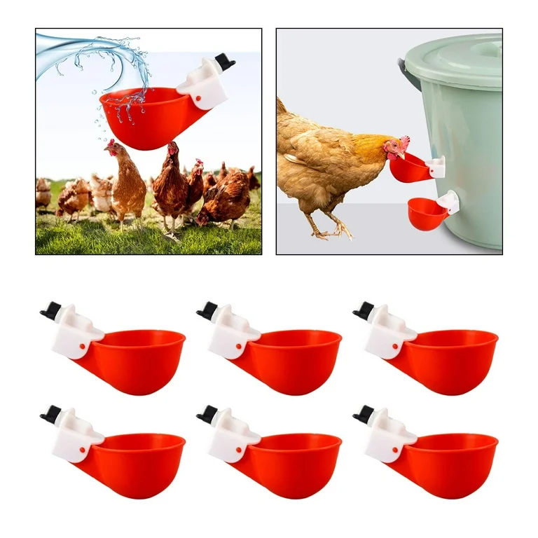NOVITAL Chick Feeding Bowl Set