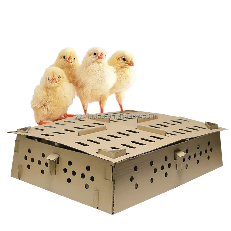 River Chick Transport Cardboard Cage – Disposable Chick Carrier (Made in Italy)