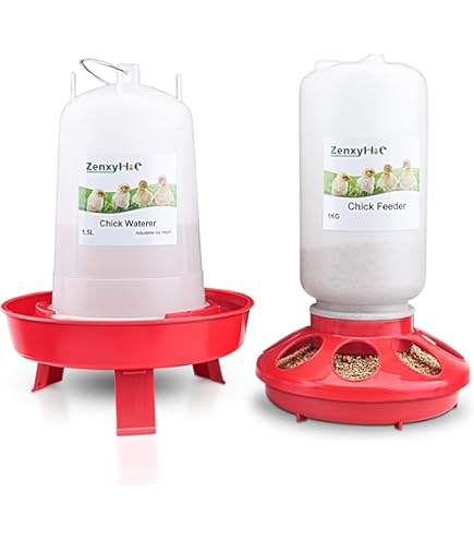NOVITAL Chick Feeder + Drinker Set – Italy