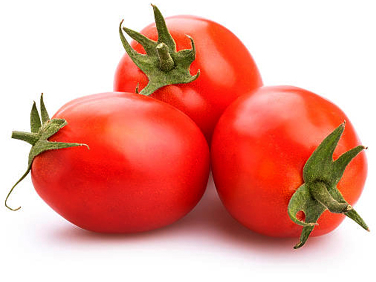 Lenok F1 Determinate Tomato Seeds