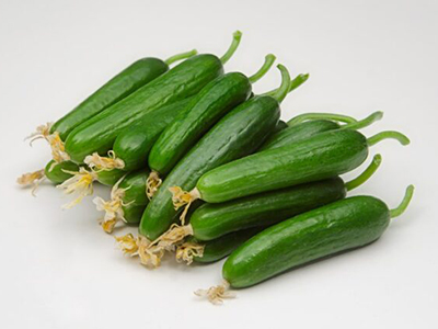Nemo F1 Cucumber Seeds