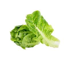 خس روماني ريمورا – 5000 بذرة F1