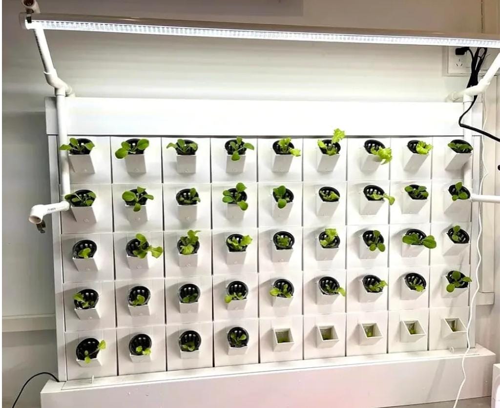 HAVANAH NFT Hydroponic Planting Wall Image