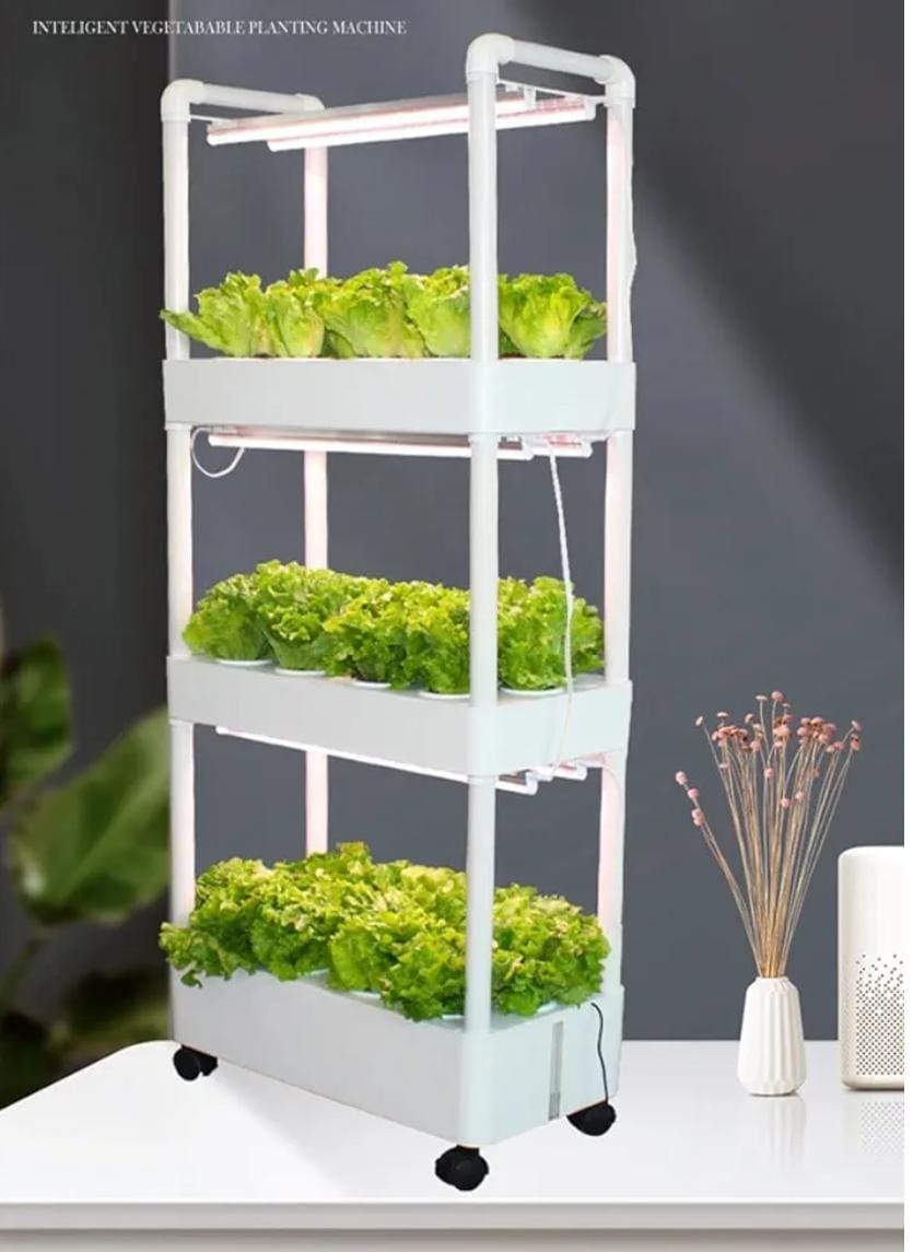 SIMPA NFT Hydroponic Planting Box Image