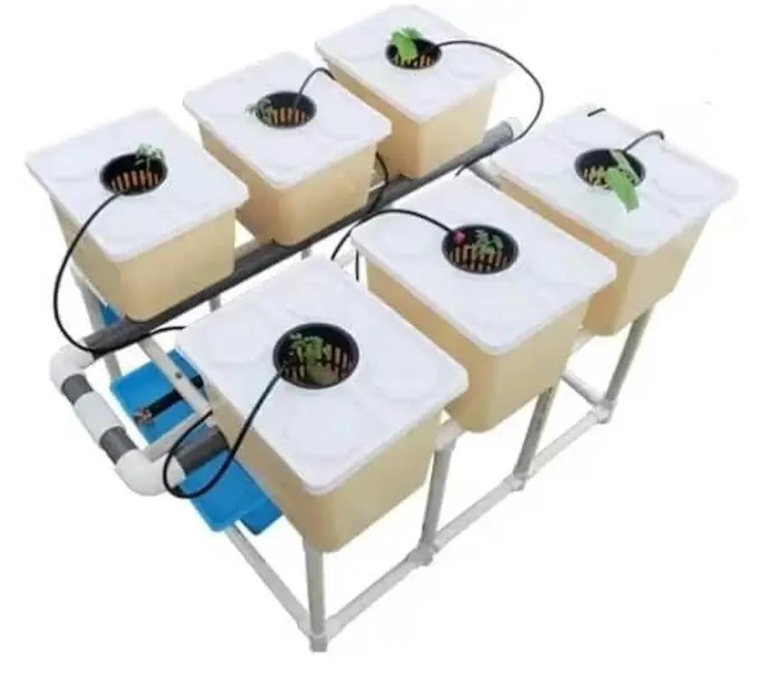 ZES Dutch Bucket MINI Hydroponic System Image