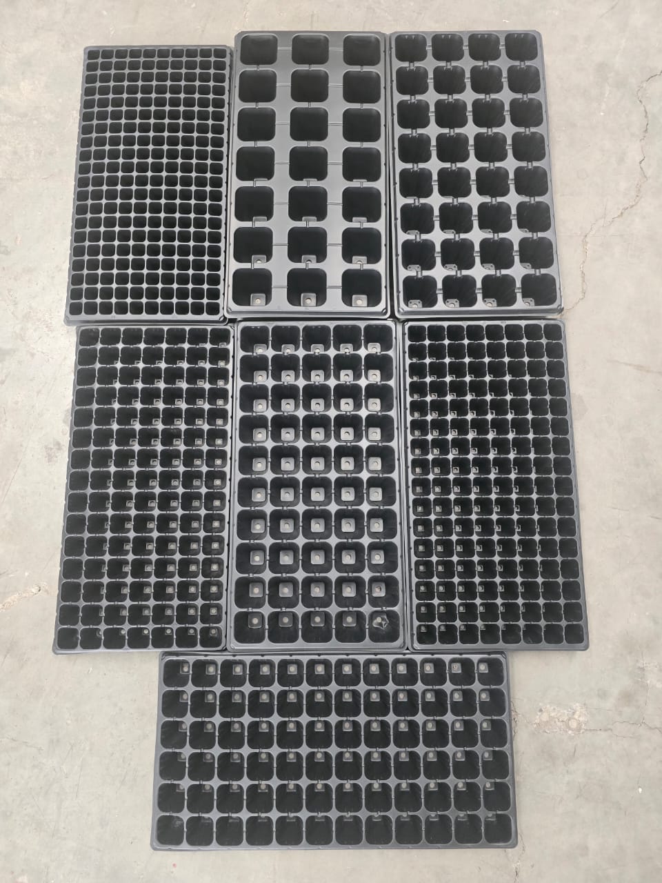 Seedling Trays Image