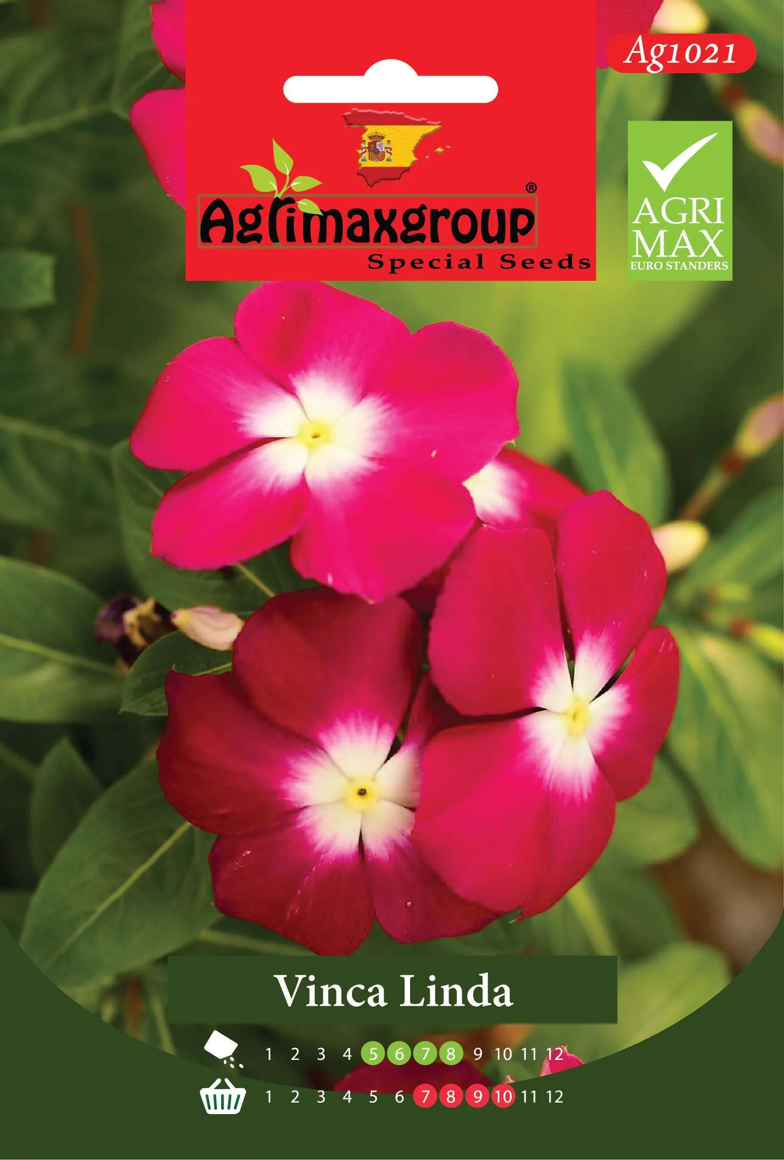 فينكا ليندا روز - بذور/نبات الونكا المدغشقرية المتحملة للحرارة