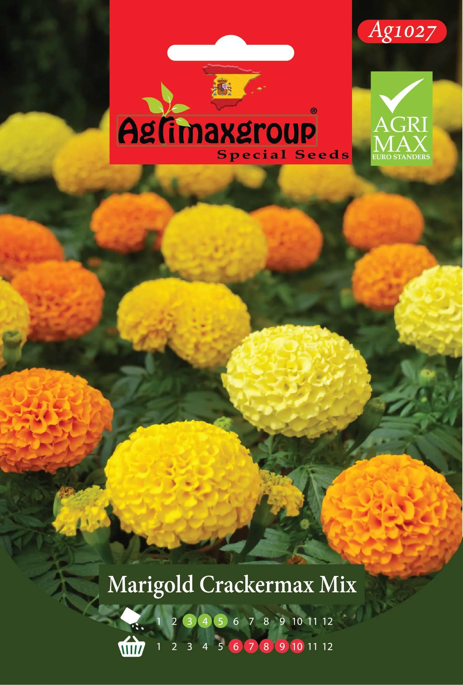 مارgold كراكر ماكس ميكس - بذور القطيفة الأفريقية الفاخرة (مزيج أصفر وبرتقالي)