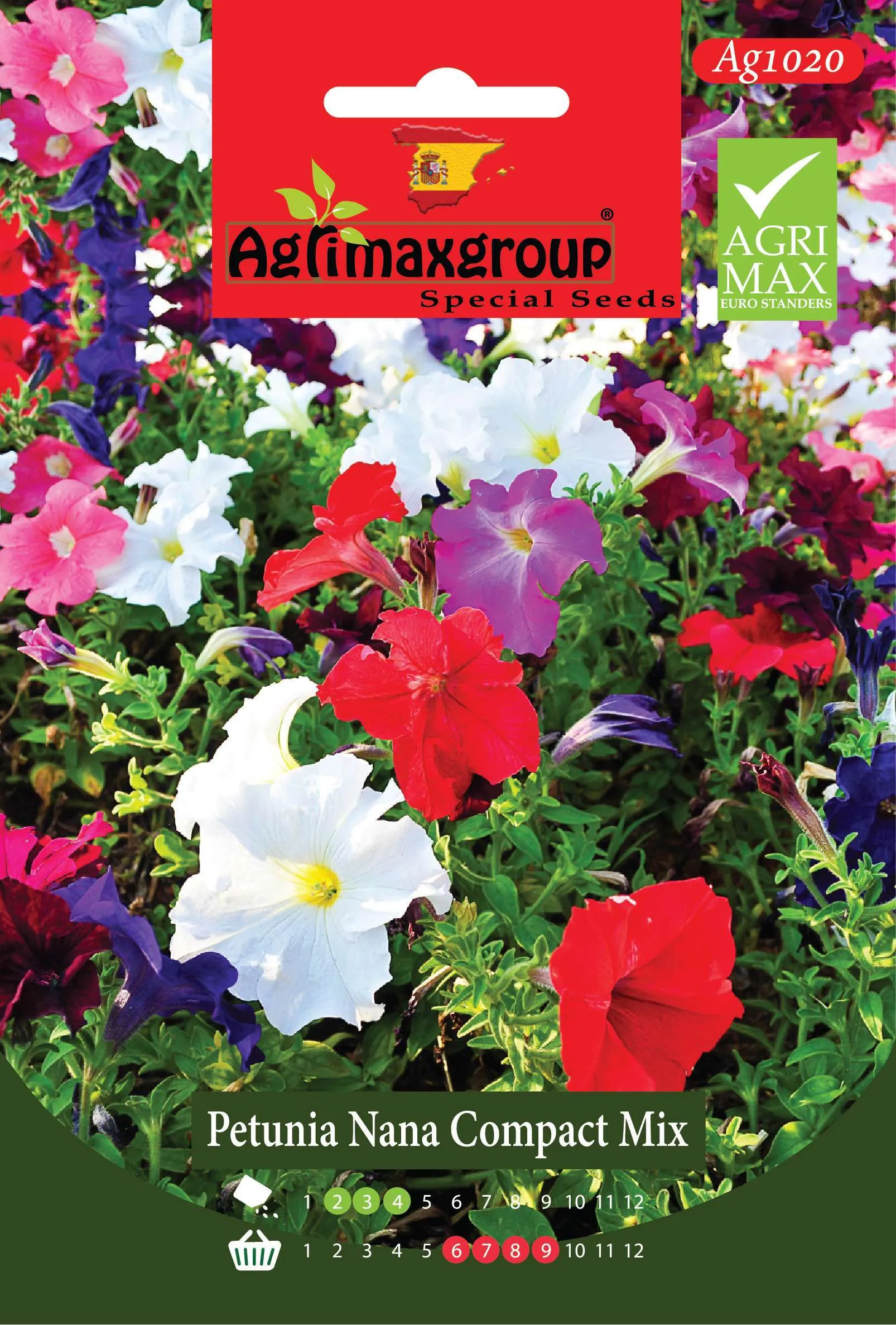 بيتونيا نانا كومباكت ميكس - بذور أزهار البيتونيا القزمية الفاخرة (مزيج ألوان)