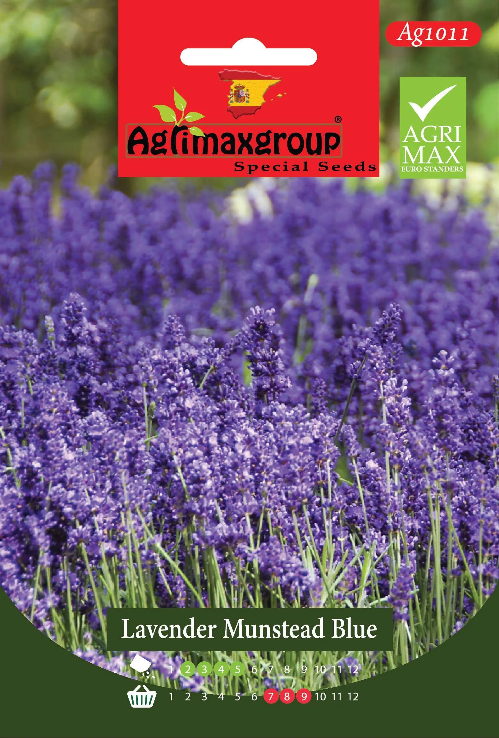 لافندر منستيد بلو - بذور الخزامى الإنجليزية العطرية الفاخرة