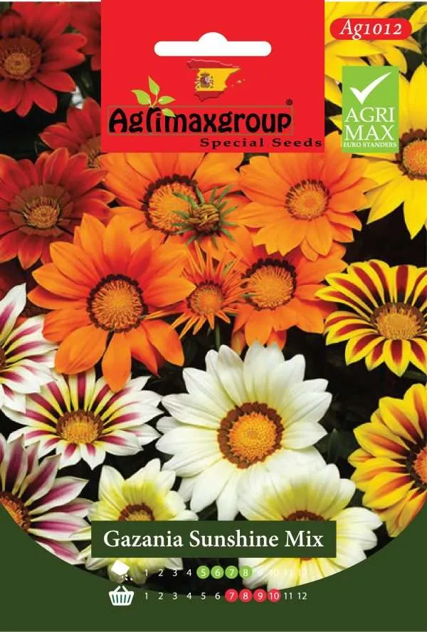 جازانيا سنشاين ميكس - بذور زهور الكنز الفاخرة المتحملة للحرارة (مزيج ألوان)