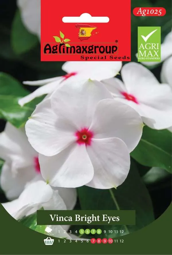 فينكا برايت آيز - بذور الونكا المدغشقرية (بيضاء بمركز أحمر) الفاخرة