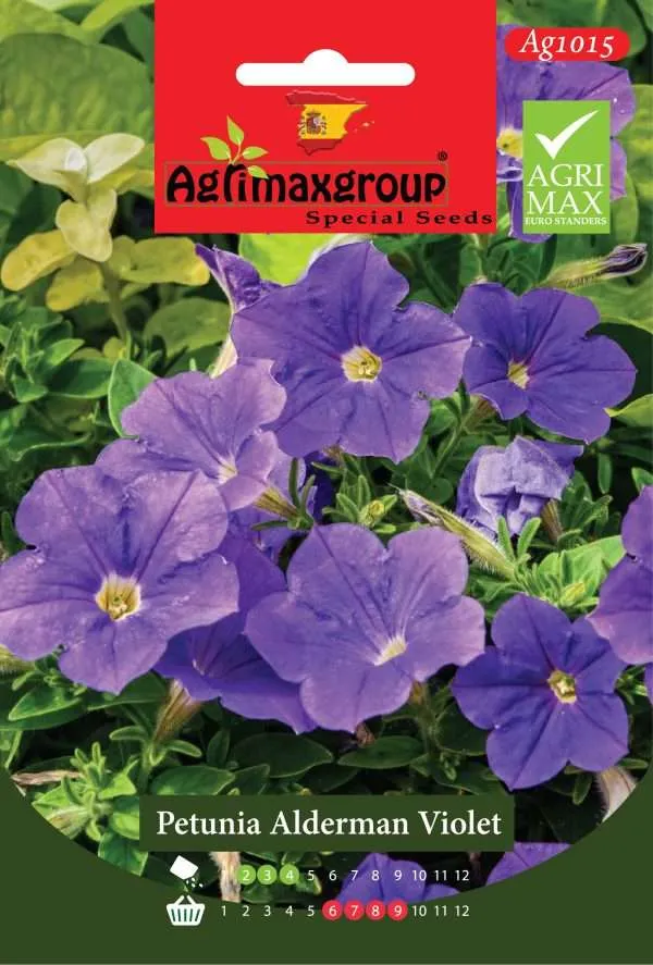 بيتونيا ألدرمان فيوليت - بذور أزهار البيتونيا البنفسجية الداكنة الفاخرة