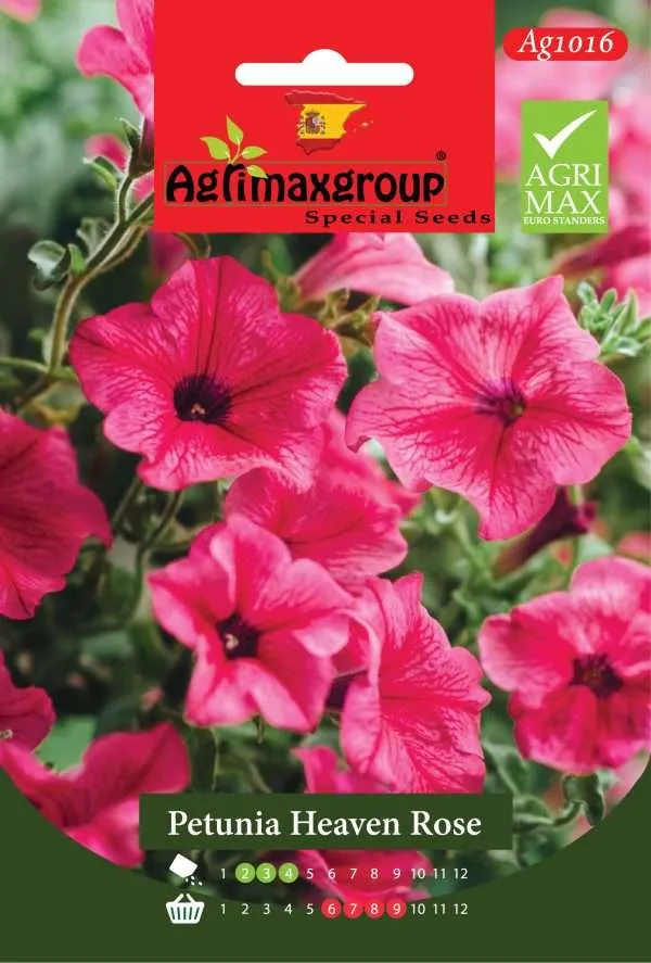 بيتونيا هيفن روز - بذور أزهار البيتونيا الوردية الزاهية الفاخرة