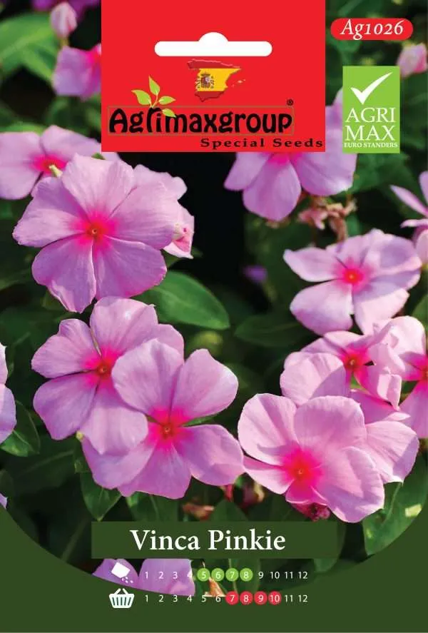 فينكا بينكي - بذور الونكا المدغشقرية الوردية الناعمة الفاخرة