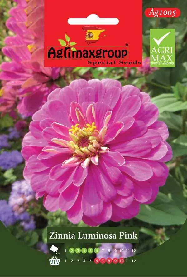 زينيا لومينوزا بينك - بذور أزهار الزينيا الوردية الزاهية العملاقة الفاخرة