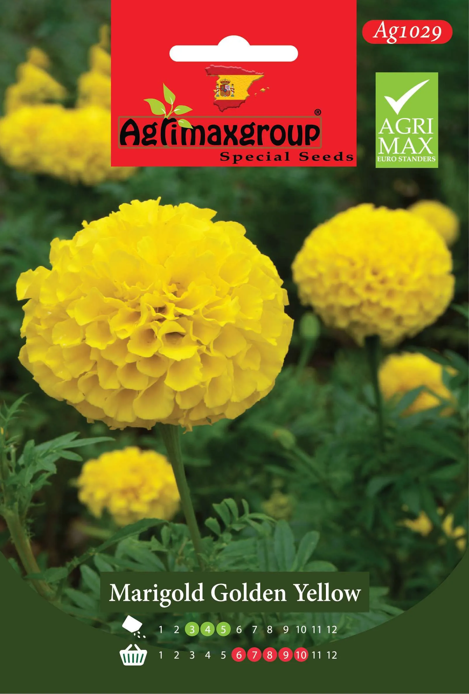 مارgold جولدن يلو - بذور القطيفة الأفريقية الصفراء الذهبية العملاقة الفاخرة