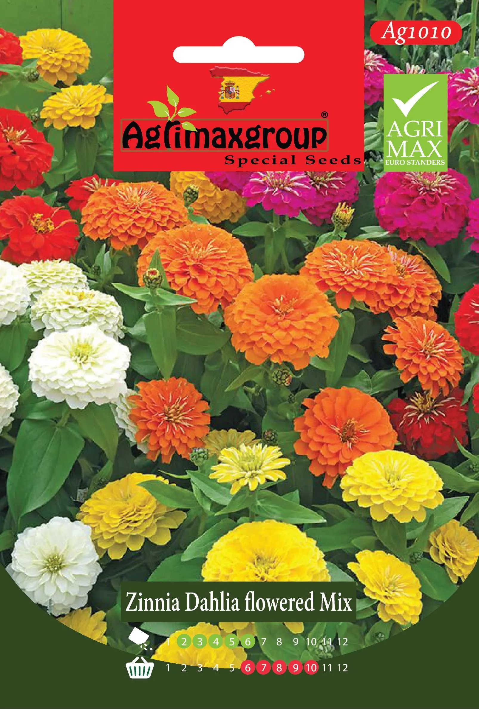 زينيا داليا فلورد ميكس - بذور أزهار الزينيا العملاقة متعددة الألوان الفاخرة