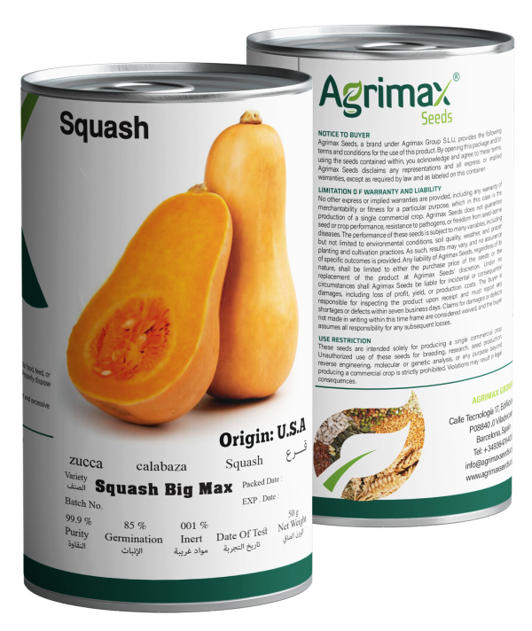 Agrimax Squash Big Max Seeds (50g) - Premium Giant Pumpkin Variety for Large-Scale Harvesting