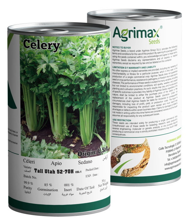 Agrimax Celery Tall Utah 52-70H Seeds (50g) - High-Yield Professional Variety for Crisp & Tender Stalks