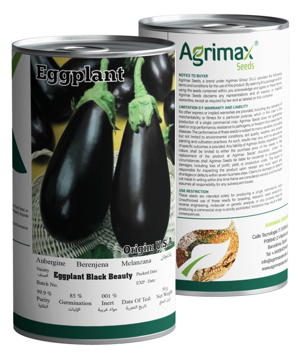 Agrimax Eggplant Black Beauty Seeds (50g) - Premium Heirloom Variety for Large & Glossy Dark Fruits